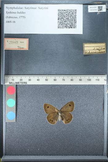 Media type: image;   Entomology 153720